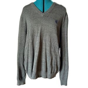 Express V-Neck Cotton Sweater - Size Large, Gray